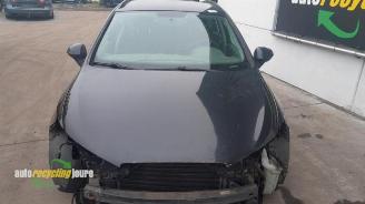 Seat Ibiza Ibiza ST (6J8), Combi, 2010 / 2016 1.2 TDI Ecomotive picture 22