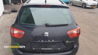 Seat Ibiza Ibiza ST (6J8), Combi, 2010 / 2016 1.2 TDI Ecomotive picture 9