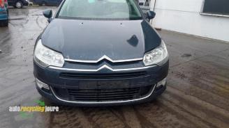 Citroën C5 C5 III Tourer (RW), Combi, 2008 / 2017 2.0 HDiF 16V picture 20