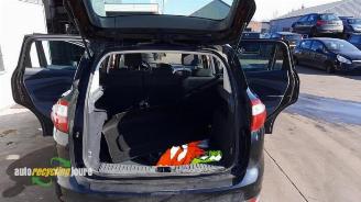 Ford C-Max C-Max (DXA), MPV, 2010 / 2019 1.0 Ti-VCT EcoBoost 12V 125 picture 18