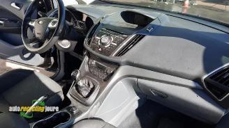 Ford C-Max C-Max (DXA), MPV, 2010 / 2019 1.0 Ti-VCT EcoBoost 12V 125 picture 14