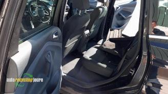 Ford C-Max C-Max (DXA), MPV, 2010 / 2019 1.0 Ti-VCT EcoBoost 12V 125 picture 17