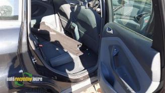 Ford C-Max C-Max (DXA), MPV, 2010 / 2019 1.0 Ti-VCT EcoBoost 12V 125 picture 16