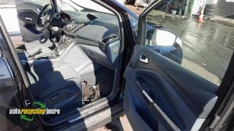 Ford C-Max C-Max (DXA), MPV, 2010 / 2019 1.0 Ti-VCT EcoBoost 12V 125 picture 12