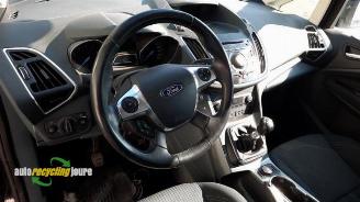 Ford C-Max C-Max (DXA), MPV, 2010 / 2019 1.0 Ti-VCT EcoBoost 12V 125 picture 11