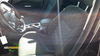 Ford C-Max C-Max (DXA), MPV, 2010 / 2019 1.0 Ti-VCT EcoBoost 12V 125 picture 10