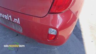 Kia Picanto Picanto (TA), Hatchback, 2011 / 2017 1.0 12V picture 6