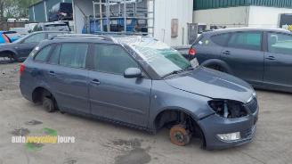 Uttjänta bilar auto Skoda Fabia Fabia II Combi, Combi 5-drs, 2007 / 2015 1.2 TDI 12V Greenline 2010/10