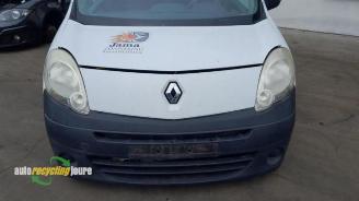 Renault Kangoo Kangoo Express (FW), Van, 2008 1.5 dCi 85 picture 4