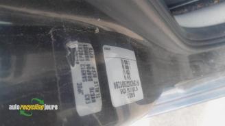 Renault Modus Modus/Grand Modus (JP), MPV, 2004 / 2012 1.2 16V picture 6