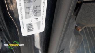 Peugeot 3008 3008 I (0U/HU), MPV, 2009 / 2016 1.6 16V THP 155 picture 20