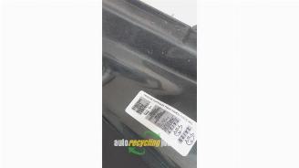 Peugeot 207 207 SW (WE/WU), Combi, 2007 / 2013 1.4 16V Vti picture 19