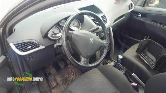 Peugeot 207 207 SW (WE/WU), Combi, 2007 / 2013 1.4 16V Vti picture 17