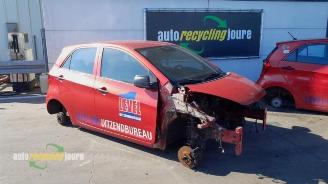 Kia Picanto Picanto (TA), Hatchback, 2011 / 2017 1.0 12V picture 1