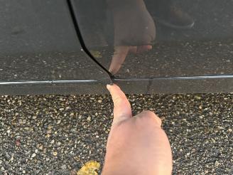 Kia Ceed GT Line Business Hybride LEER Pano Automaat picture 16