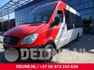Mercedes Sprinter Sprinter 3,5t (906.73), Bus, 2006 / 2020 315 CDI 16V picture 1