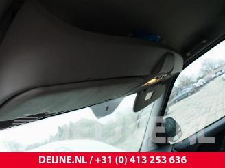 Fiat Doblo Doblo Cargo (263), Van, 2010 1.3 MJ 16V DPF Euro 5 picture 28