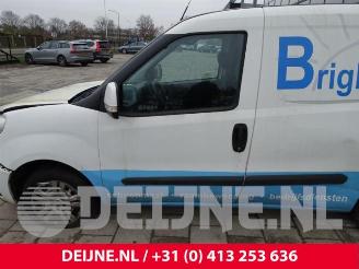 Fiat Doblo Doblo Cargo (263), Van, 2010 1.3 MJ 16V DPF Euro 5 picture 15