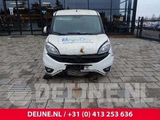 Fiat Doblo Doblo Cargo (263), Van, 2010 1.3 MJ 16V DPF Euro 5 picture 2