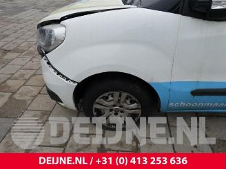 Fiat Doblo Doblo Cargo (263), Van, 2010 1.3 MJ 16V DPF Euro 5 picture 10