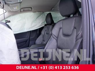 Volvo S-90 S90 II, Sedan, 2016 2.0 D3 16V picture 21