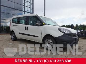 Fiat Doblo Doblo Cargo (263), Van, 2010 1.4 16V picture 1