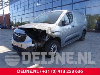 Opel Combo Combo Cargo, Van, 2018 1.5 CDTI 100 picture 3