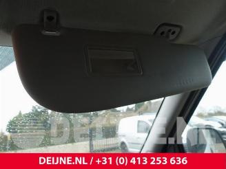 Fiat Doblo Doblo Cargo (263), Van, 2010 1.3 D Multijet picture 31