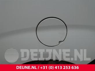 Fiat Doblo Doblo Cargo (263), Van, 2010 1.3 D Multijet picture 33