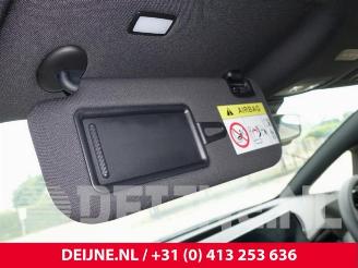 BYD Dolphin Dolphin, Hatchback 5-drs, 2021 60 kWh picture 20