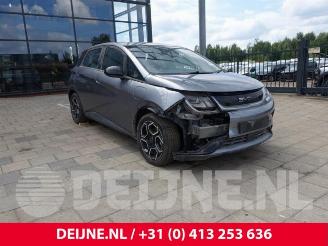 Vrakbiler auto BYD Dolphin Dolphin, Hatchback 5-drs, 2021 60 kWh 2024/3