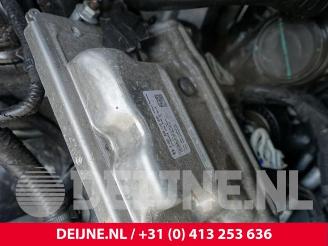 Ford Transit Transit Custom, Van, 2023 2.0 EcoBlue 136 picture 11