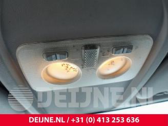 Fiat Doblo Doblo Cargo (263), Van, 2010 1.4 16V picture 21