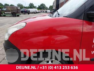 Fiat Doblo Doblo Cargo (263), Van, 2010 1.6 D Multijet picture 8