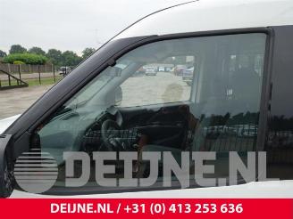 Fiat Doblo Doblo Cargo (263), Van, 2010 1.3 D Multijet picture 13