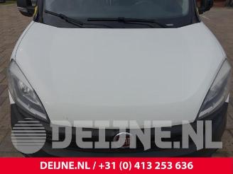 Fiat Doblo Doblo Cargo (263), Van, 2010 1.3 D Multijet picture 34