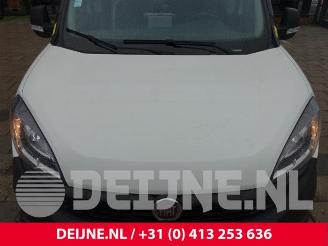 Fiat Doblo Doblo Cargo (263), Van, 2010 1.4 16V picture 34