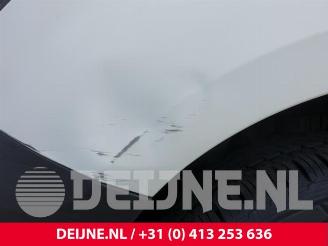 Fiat Doblo Doblo Cargo (263), Van, 2010 1.4 16V picture 11