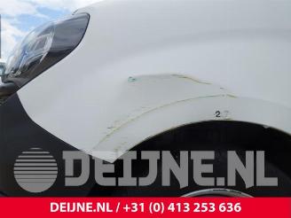 Fiat Doblo Doblo Cargo (263), Van, 2010 1.4 16V picture 10