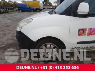 Fiat Doblo Doblo Cargo (263), Van, 2010 1.6 D Multijet picture 9