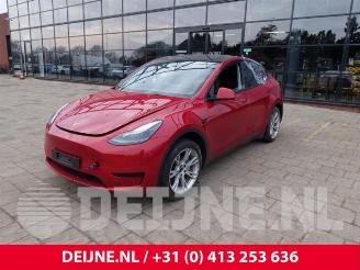 Tesla Model Y Model Y (5YJY), SUV, 2019 / 2025 RWD picture 3