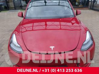 Tesla Model Y Model Y (5YJY), SUV, 2019 / 2025 RWD picture 35