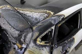 Ford Fiesta  picture 6