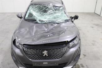 Peugeot 2008  picture 6