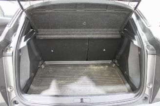 Peugeot 2008  picture 15
