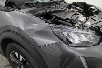 Peugeot 2008  picture 16