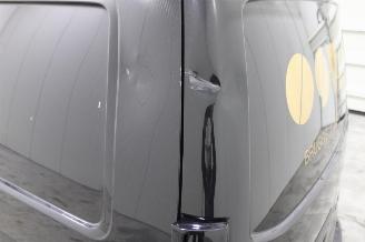 Volkswagen Transporter T6 picture 20