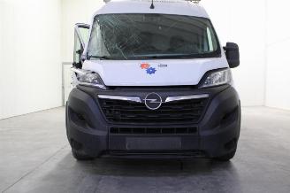 Opel Movano  picture 23