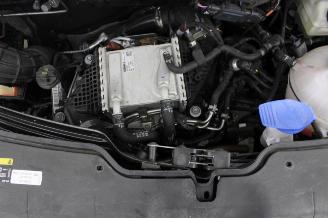 Volkswagen Transporter T6 picture 13