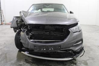 Opel Grandland X picture 6